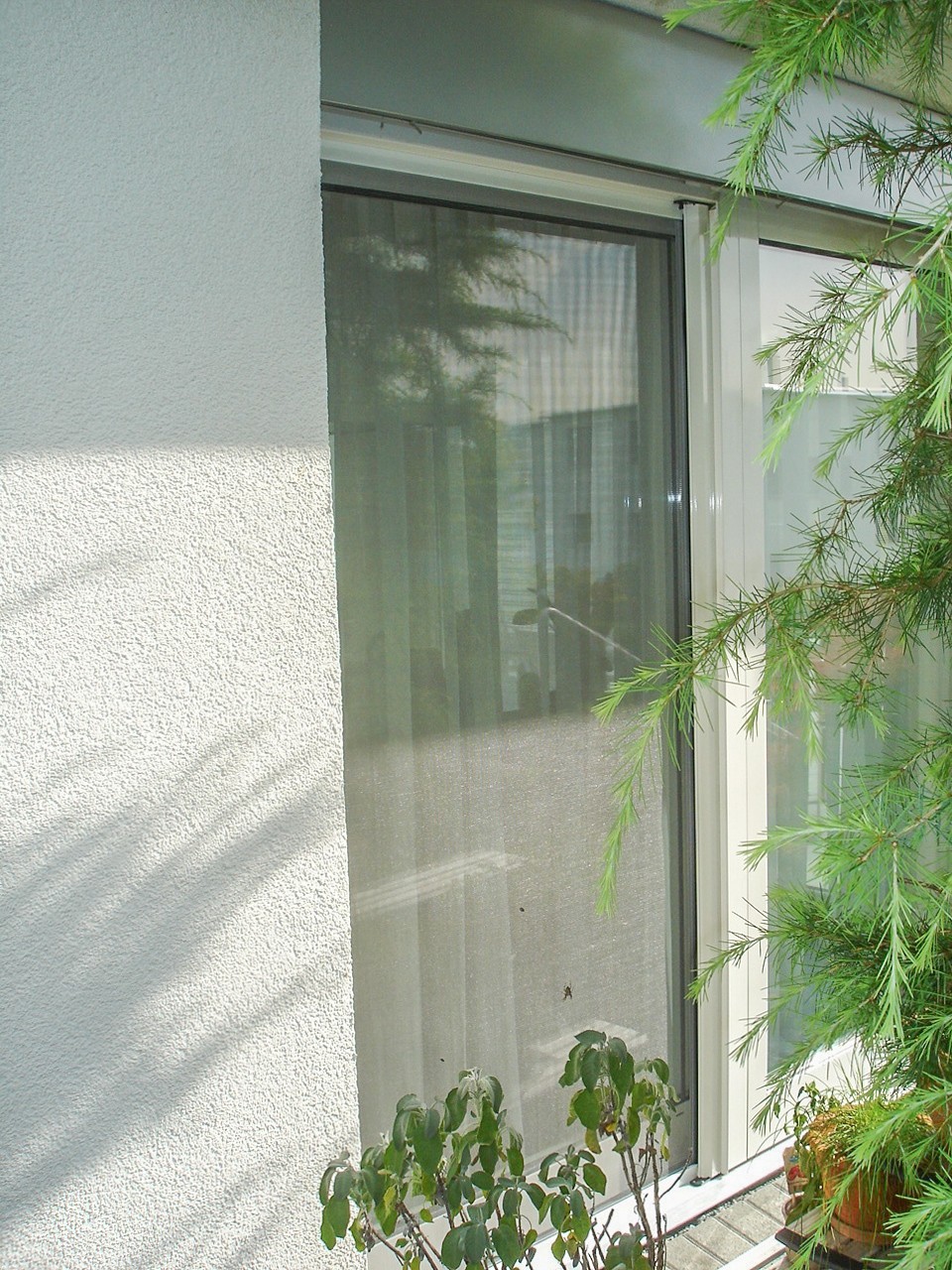 dsc04788.jpg